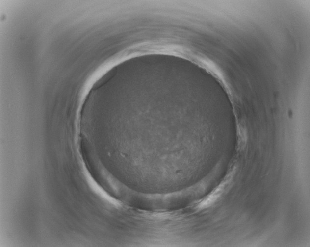 X0000066541528200603171228