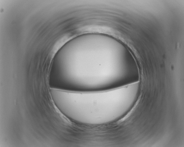 X0000066541529200603171228