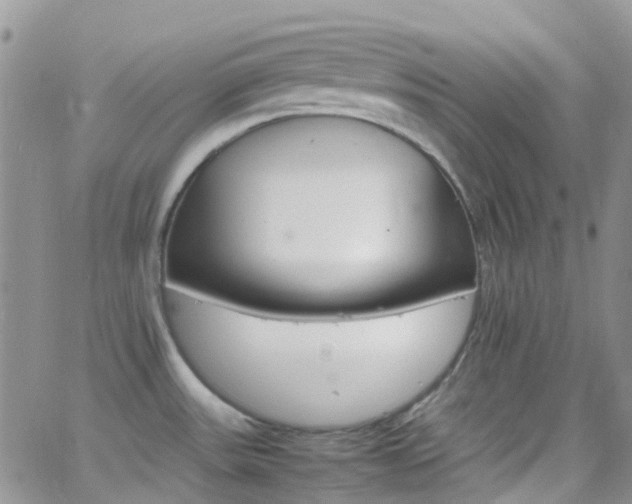 X0000066541531200603171228