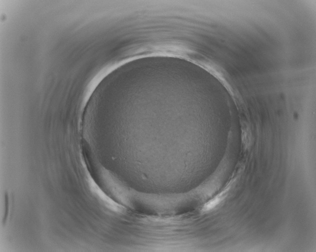 X0000066541532200603171228