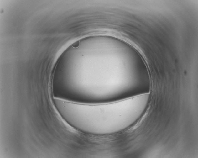 X0000066541533200603171228