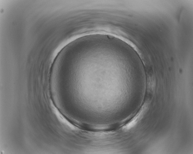 X0000066541534200603171228