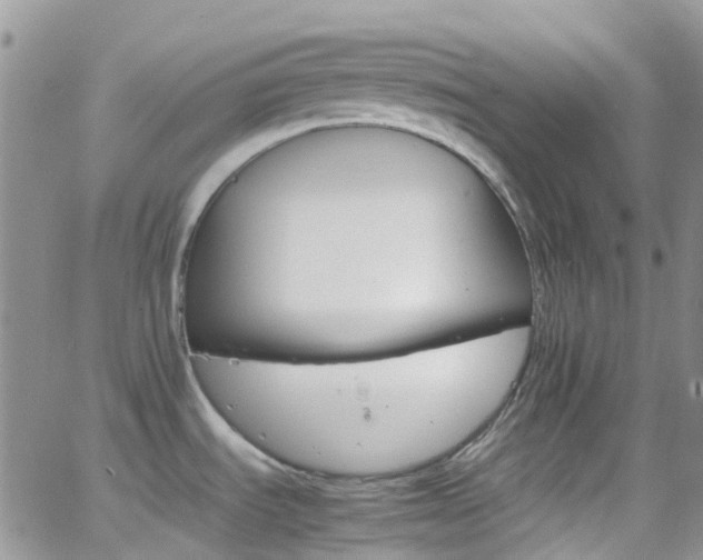 X0000066541535200603171228