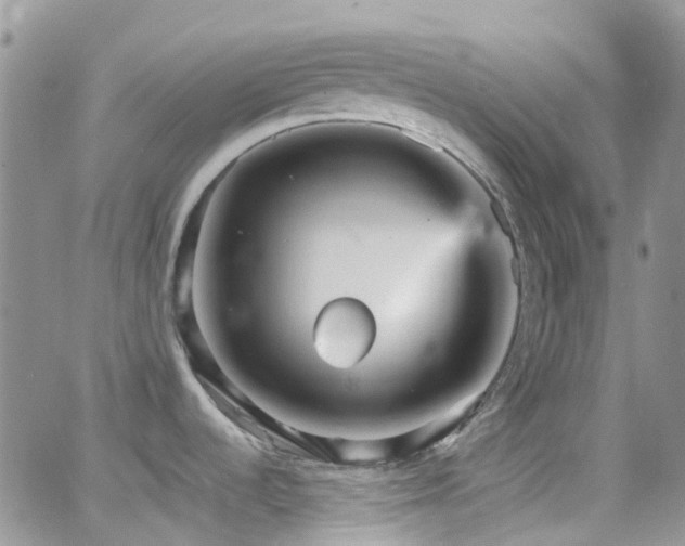 X0000066541536200603171228