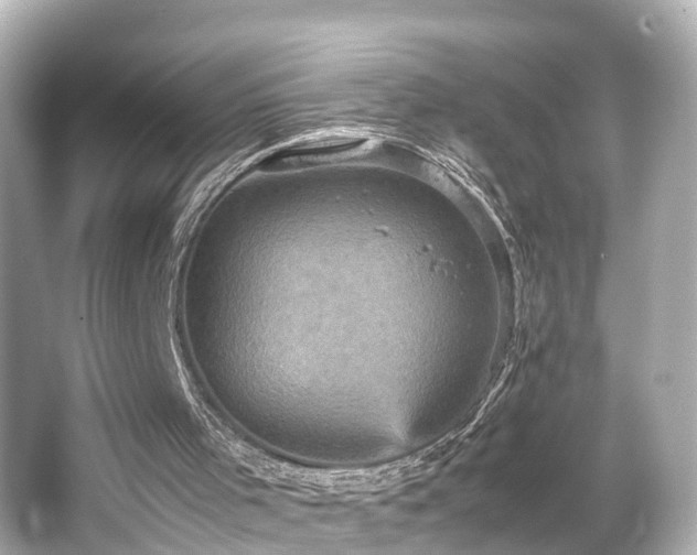 X0000066540001200603201438