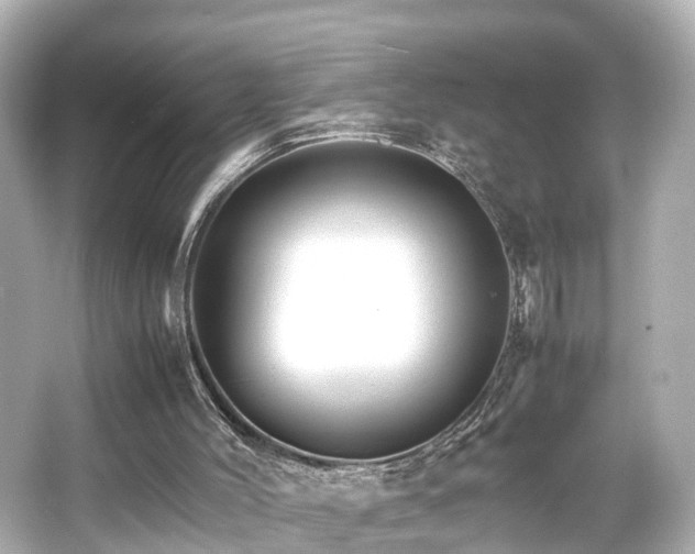 X0000066540004200603201438