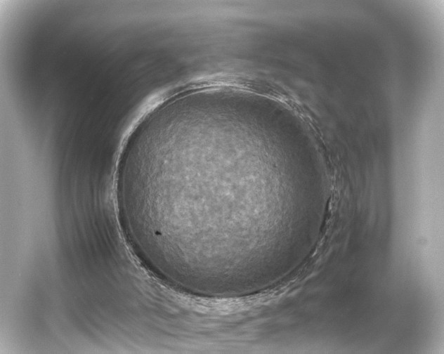 X0000066540006200603201438