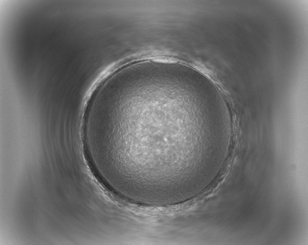 X0000066540007200603201438