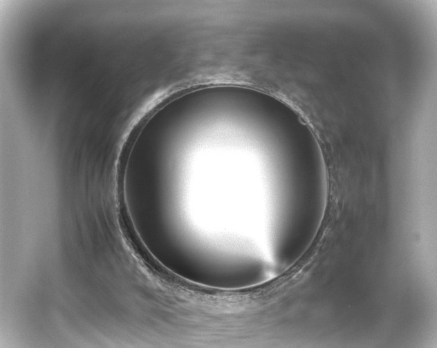 X0000066540008200603201438