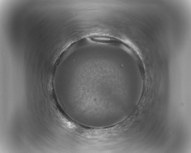 X0000066540009200603201438