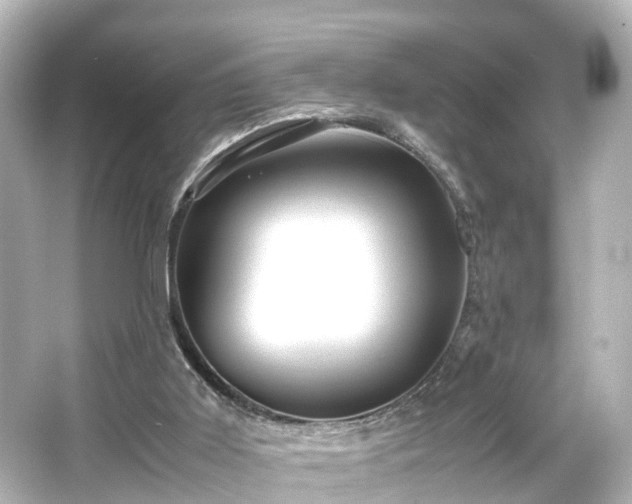 X0000066540011200603201438