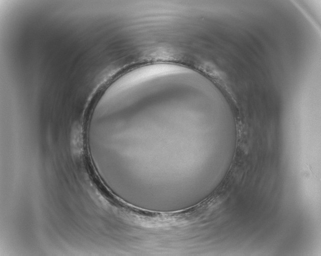 X0000066540012200603201438