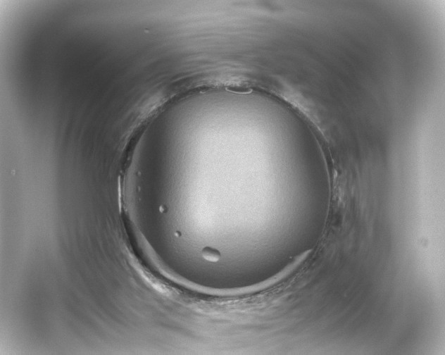 X0000066540013200603201438