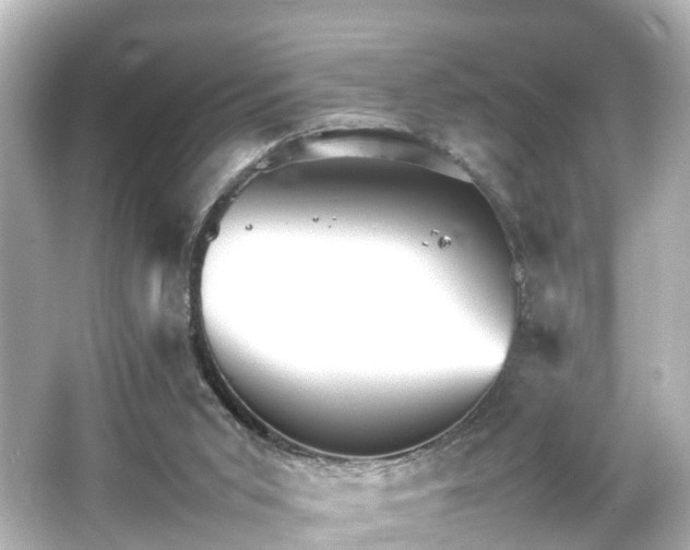 X0000066540015200603201437