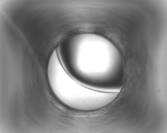 X0000066540017200603201437