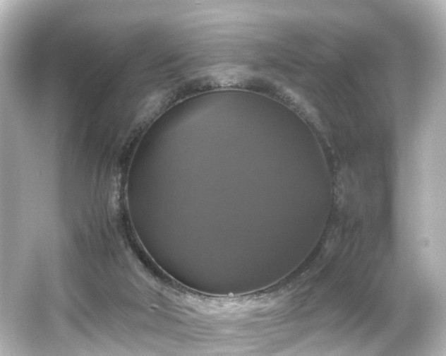 X0000066540018200603201437