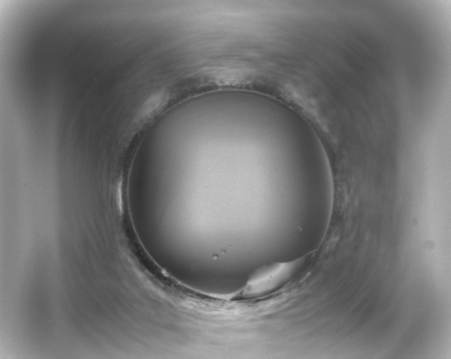 X0000066540019200603201437