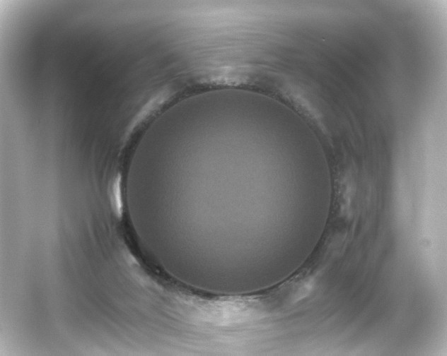 X0000066540020200603201437