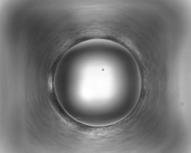 X0000066540021200603201437