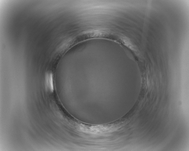 X0000066540022200603201437