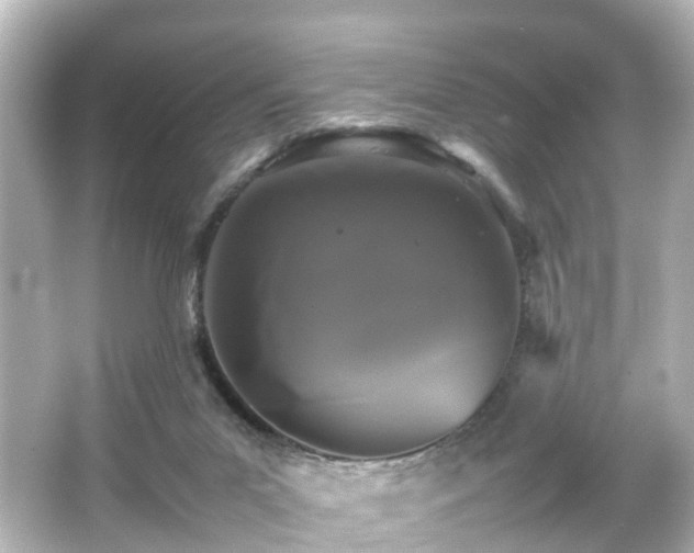 X0000066540023200603201437