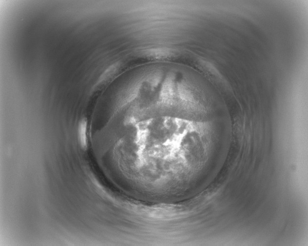 X0000066540024200603201437