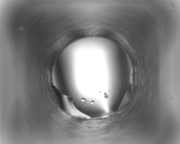 X0000066540025200603201437