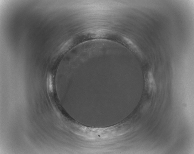 X0000066540026200603201437