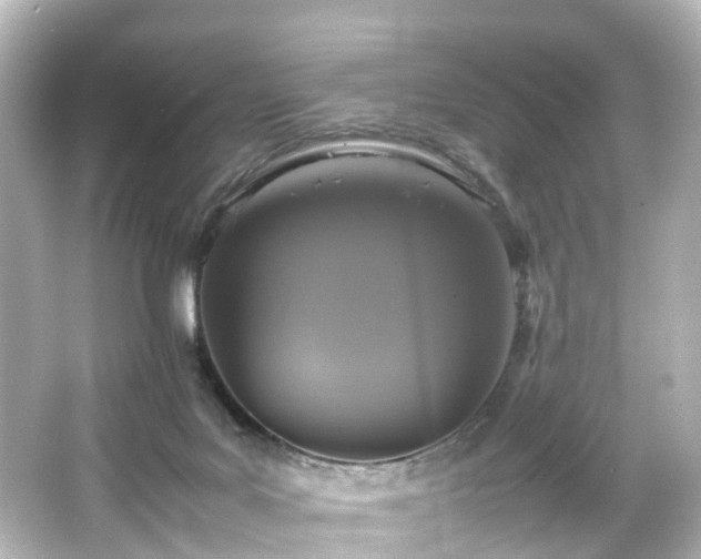 X0000066540027200603201437