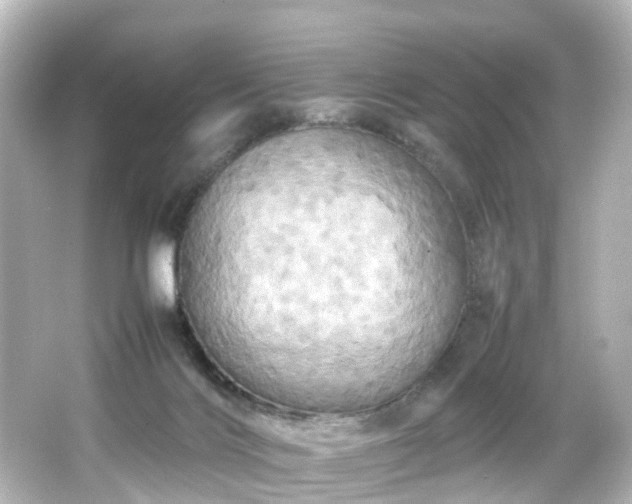 X0000066540028200603201437