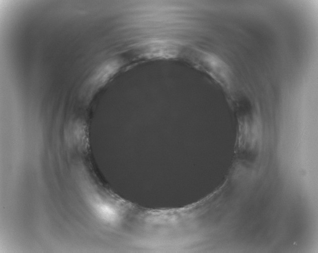 X0000066540029200603201437