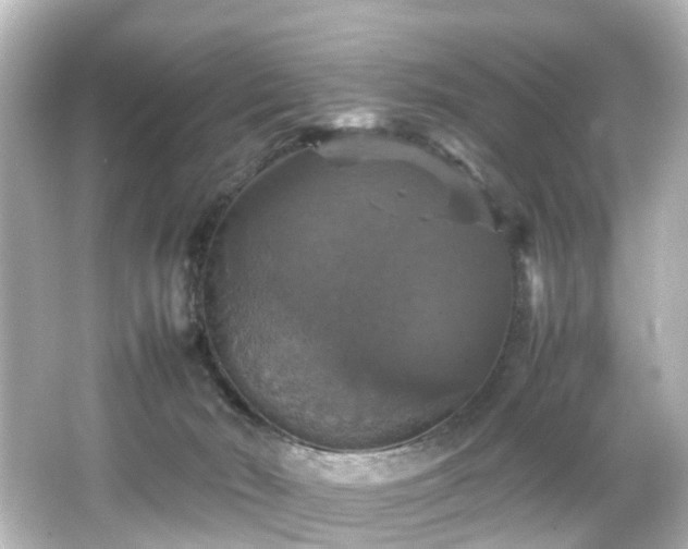 X0000066540030200603201437