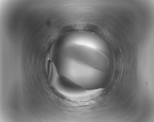 X0000066540031200603201437