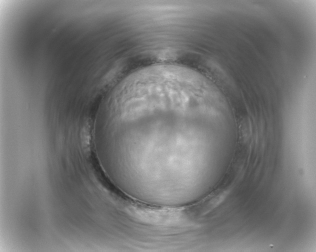 X0000066540032200603201437