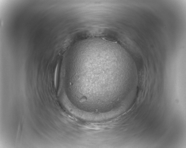 X0000066540033200603201437