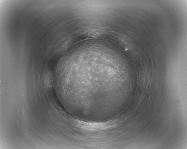 X0000066540034200603201437