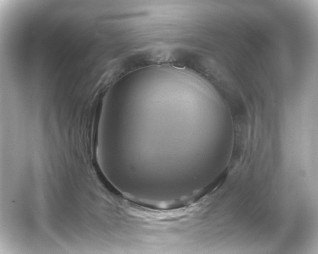 X0000066540035200603201437