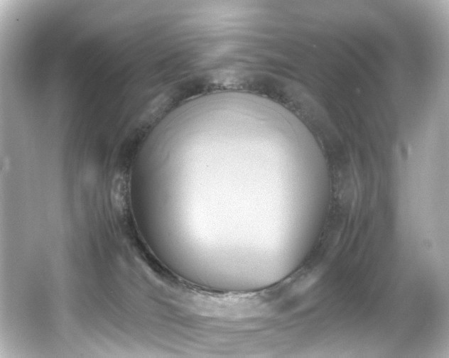 X0000066540036200603201437