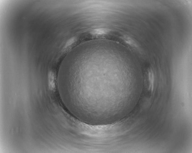 X0000066540038200603201437