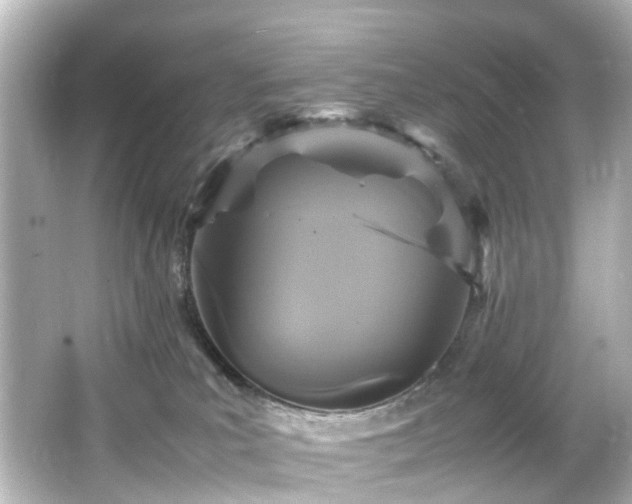 X0000066540039200603201437