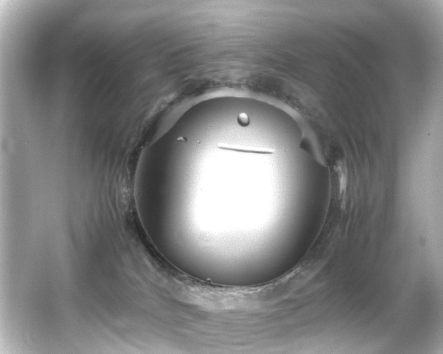 X0000066540040200603201437