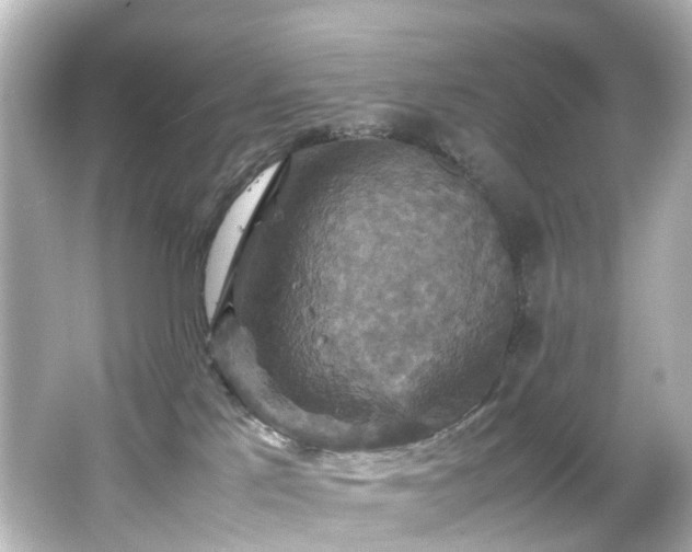 X0000066540041200603201437