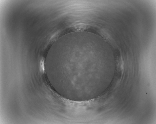 X0000066540042200603201437