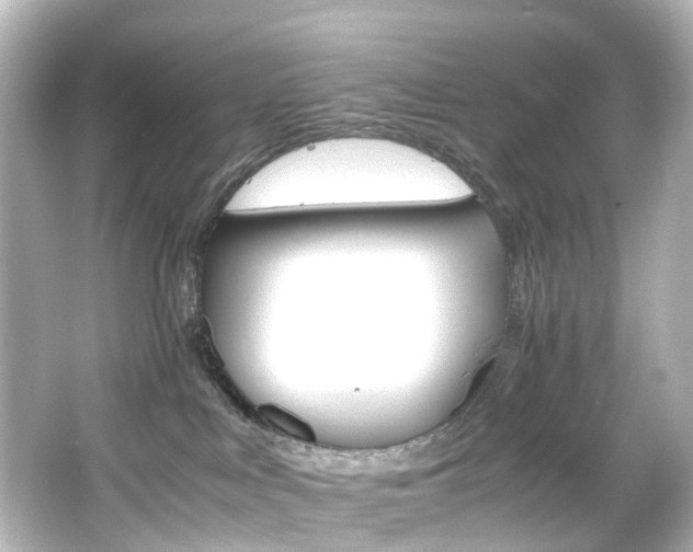 X0000066540043200603201437