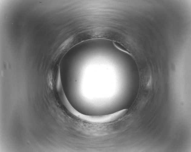 X0000066540044200603201437