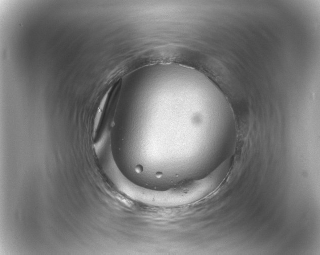 X0000066540045200603201437