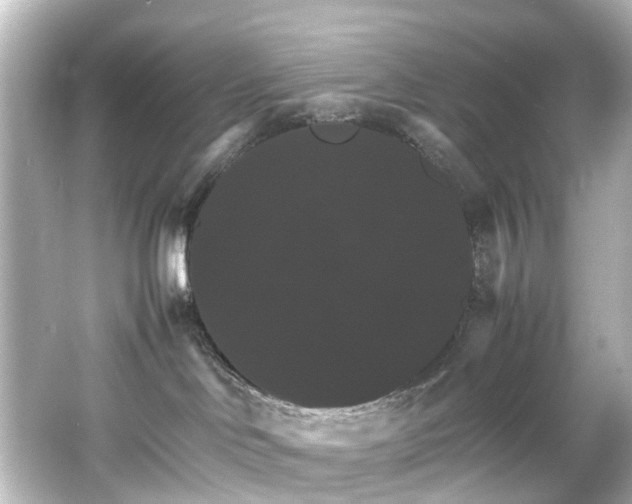 X0000066540046200603201437