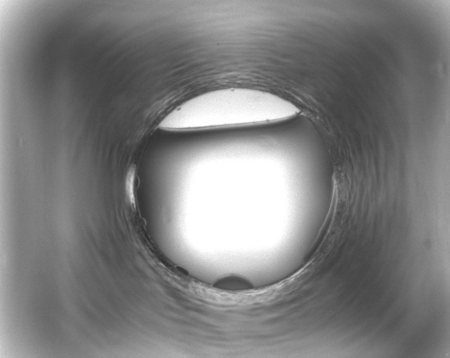 X0000066540047200603201437