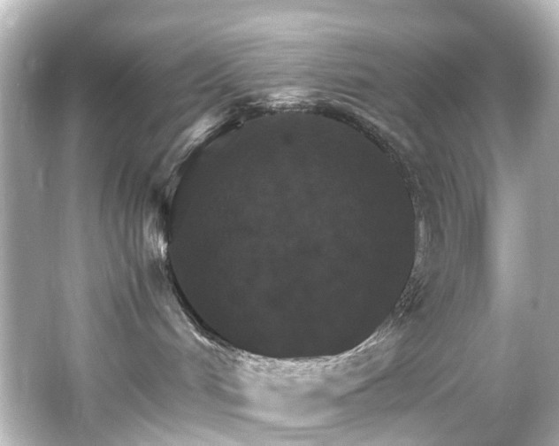 X0000066540048200603201437