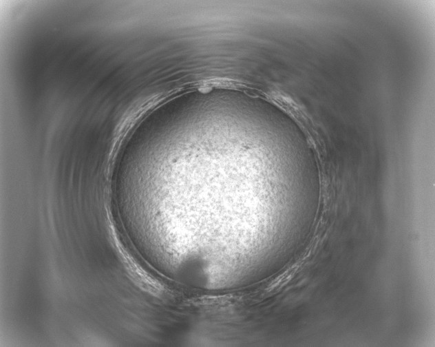 X0000066540049200603201436